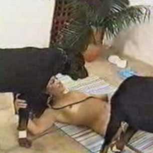 Follada por dos perros