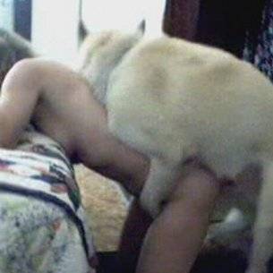 Perro enculando a mujer