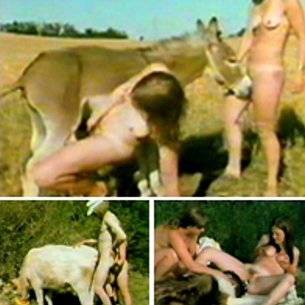Burros follando