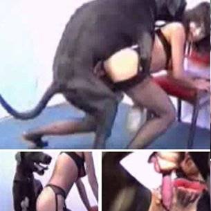 Perro follando a chica
